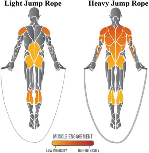 Vista 2 de TONYKO Cuerda de saltar pesada para hombres y mujeres, entrenamiento de cuerpo total, entrenamiento de potencia, mejora el fortalecimiento muscular