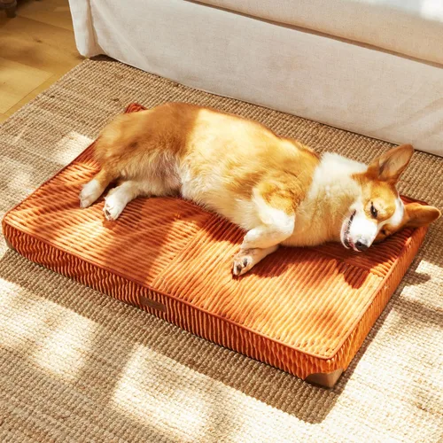 Vista 10 de FUKUMARU Cama para Perros, Camas Ortopédicas de Pana Engrosada para Perros con Funda Lavable, Cama Grande Impermeable para Perros para Jaula