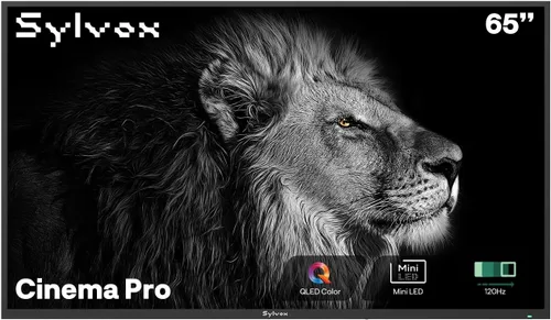 Vista 18 de SYLVOX - Televisión inteligente para exteriores 4K de 43 pulgadas