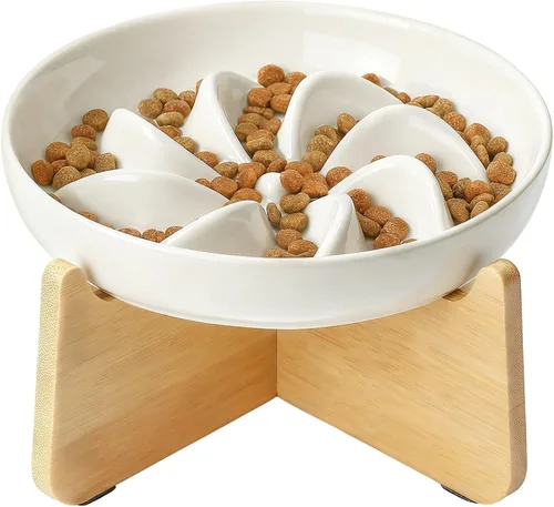 Vista 9 de PETTOM Alimentador lento Cat Bowl de cerámica elevada con soporte de bambú espina de pescado