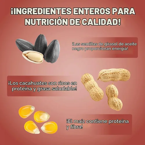 Vista 3 de Audubon Park Alimento para ardilla y criatura, 10 lb