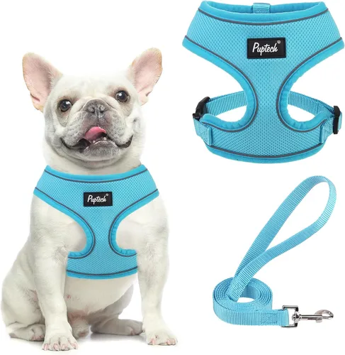 Vista 7 de PUPTECK Juego de arnés y correa de malla suave para perro, cachorro y gato, cómodo chaleco acolchado sin tirones, azul Pascua, S