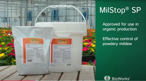 Vista 2 de MilStop SP Fungicida foliar orgánico, bolsa de 5 libras, con tijeras de recortar