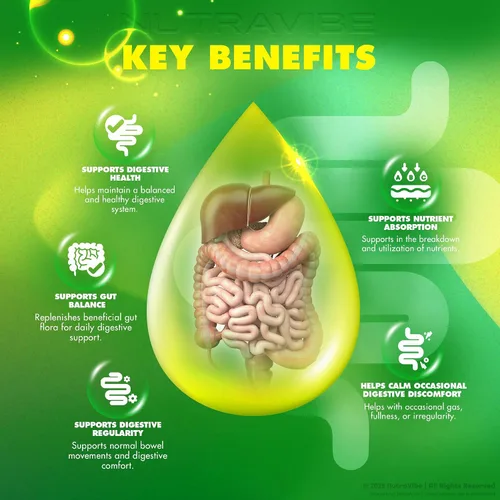 Vista 4 de RegulaRoot Pro - Fórmula prémium de apoyo intestinal y digestivo inspirado en probióticos para la digestión, regularidad y equilibrio del microbioma