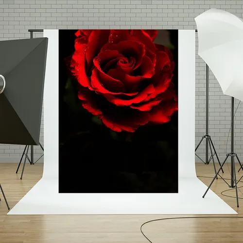 Vista 4 de Telón de fondo de fotografía negro rosa roja de 5 x 7 pies para retrato abstracto, sesión de fotos negra, fondo de fotos para adultos, retrato