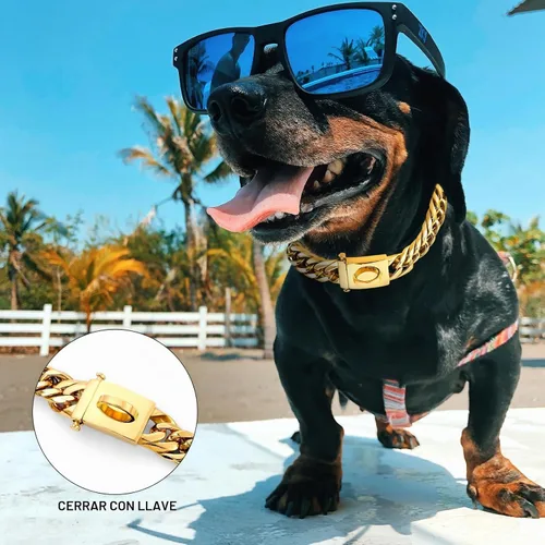 Vista 5 de BAOBOTE Collar de perro de cadena de oro, collar de eslabones cubanos Dorado