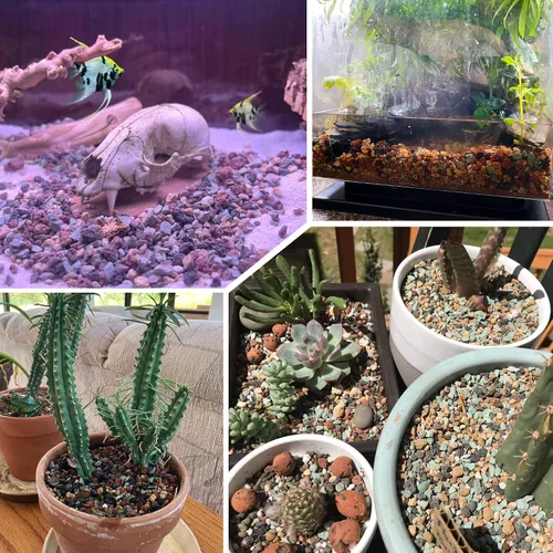 Vista 5 de 2.4 libras Mezcla de guijarros de roca volcánica hortícola para bonsái, piedra pómez para plantas suculentas y cactus, grava decorativa arenosa