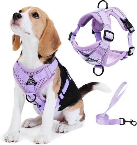 Vista 12 de Arnés para perro Jolifield sin tirones con juego de correa para perros pequeños, arnés de chaleco para gatos con clip frontal ajustable reflectante