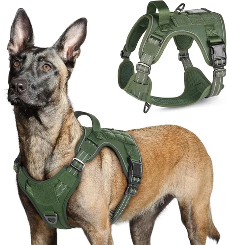 Vista 46 de rabbitgoo Arnés táctico para perros pequeños, chaleco de servicio militar sin tirones con asa y Molle, de fácil control para entrenar y caminar