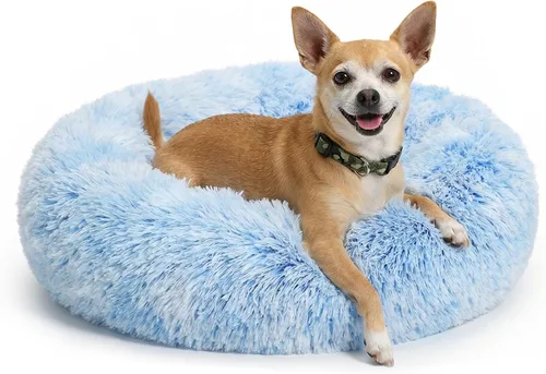 Vista 54 de Cama para perros pequeños, cama calmante para perros pequeños, antiansiedad, cama para cachorros, lavable a máquina, esponjosa, de lujo Verde militar