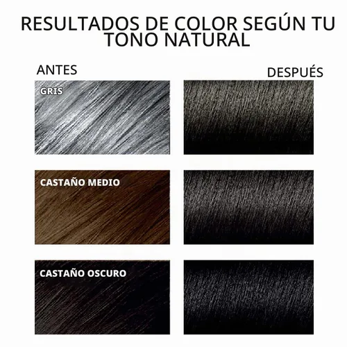 Vista 2 de Tinte negro semipermanente 3 en 1 para el cabello, 13.5 onzas líquidas, cobertura del 100% de las canas, champú de color para el cabello