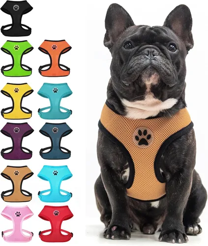 Vista 18 de BINGPET Arnés para perro sin tirones, arnés de chaleco tipo step-in de malla para todo clima para perros pequeños, arnés de malla transpirable