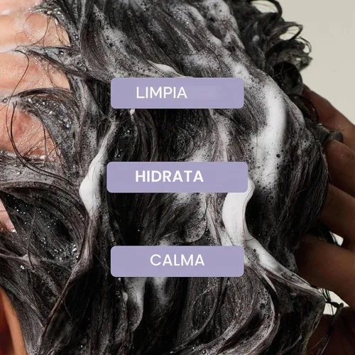 Vista 2 de Champú hidratante de lavanda y menta Tea Tree, hidrata + calma, para cabello grueso y seco
