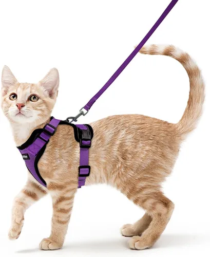 Vista 36 de rabbitgoo Cat Harness and Leash Set, Escape Proof Vest, XXS, Berry Pounce Soft Breathable Mesh, No-choke Adjustable Fit, Snap Buckles, Sturdy