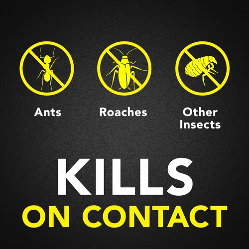 Vista 2 de Raid Ant & Roach Killer Spray para insectos listados, mantiene matando durante 13 semanas, aroma a lavanda, 12 onzas
