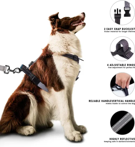 Vista 2 de Roses&Poetry Juego de arnés y correa para cachorros y perros, arnés para perros sin tirones ajustable reflectante, arneses de halter para perros