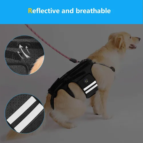 Vista 5 de Coodeo Soporte de espalda para perros para artritis, soporte de espalda para mascotas para IVDD, protector de espalda ayuda a aliviar el dolor