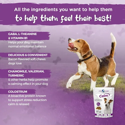 Vista 3 de Vital Planet - Masticables suaves y calmantes para perros, promueve la calma en situaciones estresantes con GABA, calostro, valeriana, cúrcuma