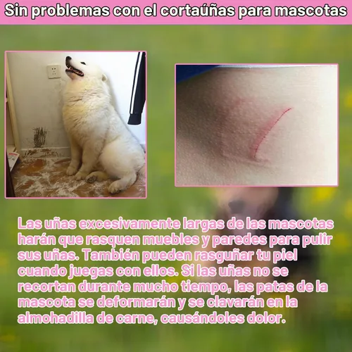 Vista 6 de Juego de 5 cortaúñas para perros y gatos, recortadores de uñas de garras para mascotas, con bloqueo protector para evitar cortes excesivos Rosa