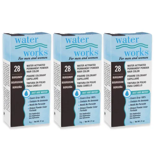 Vista 2 de Water Works Tinte en polvo, negro, tinte permanente para el retoque de raíces y cobertura completa, hombres y mujeres, paquete de 3