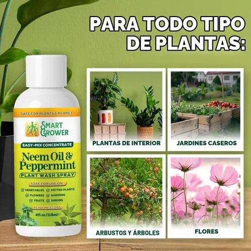 Vista 6 de Aerosol de aceite de neem para plantas con aceite de menta, para plantas de interior y exterior, jardines y plantas de interior, recambio
