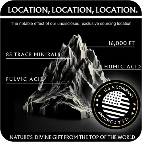 Vista 5 de THE GOLD Shilajit - Resina Shilajit Shilajit orgánica pura del Himalaya para hombres y mujeres, prueba de laboratorio en grado de Estados Unidos A+