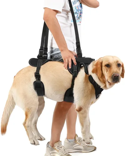 Vista 6 de NOYAL Arnés de elevación para perros para mascotas mayores y lesionadas – Soporte de cuerpo completo con malla transpirable, ayuda de pierna