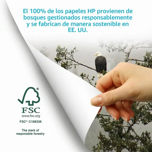 Vista 6 de HP Papers Papel de impresora HP Papel de 11 x 17 Oficina de 20 libras 1 resma - 500 hojas 92 brillante Hecho en Estados Unidos - Papel