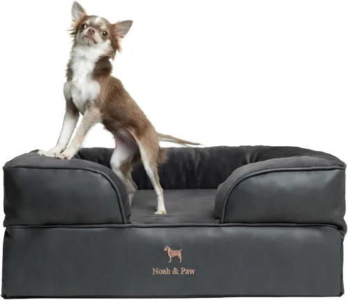 Vista 44 de NOAH & PAW Cama para perros pequeños, 20 x 15 x 8 pulgadas, cama para gatos de interior, espuma viscoelástica ortopédica de cáscara de huevo