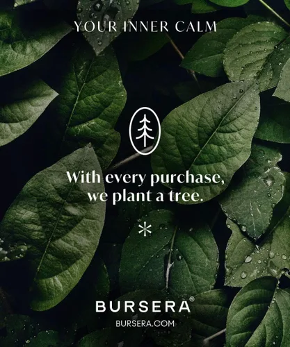 Vista 6 de Bursera Cuenco de cerámica de ónix, árbol plantado con cada pedido, cuenco decorativo con ranura lateral para fósforos, cuenco para quemaduras