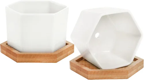 Vista 8 de Foraineam Paquete de 10 mini macetas para suculentas, 2.76 pulgadas hexagonales de cerámica blanca con bandeja de bambú
