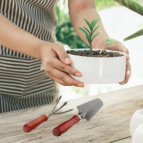 Vista 6 de TOYANDONA 1 juego de herramientas de jardinería de mano, pala de jardín y rastrillo para plantar deshierbe y trasplante y herramientas de jardinería