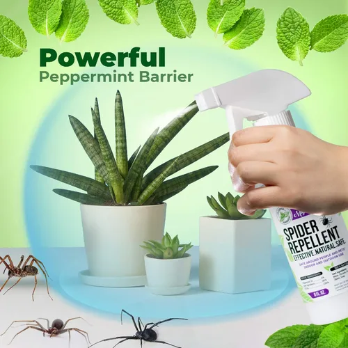 Vista 3 de Mighty Mint Aceite de menta repelente de arañas de 8 onzas, espray natural para arañas, insectos y más (paquete de 2)