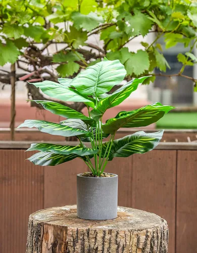Vista 2 de 2 plantas artificiales medianas de 16 pulgadas en macetas, plantas artificiales de interior para el hogar, oficina, dormitorio, escritorio, cocina