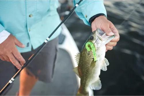Vista 2 de Berkley Gulp! Cebo suave de pesca con larva para agua salada Blanco