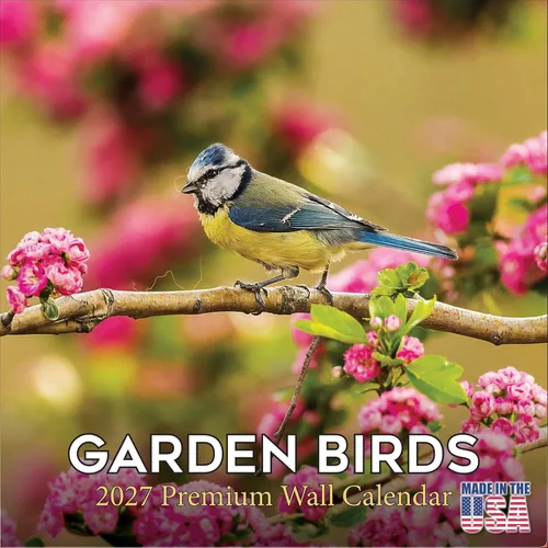 Vista 108 de Calendario de grises africanos 2025 2026 – Planificador mensual de pared de aves africanas – 12 x 18 pulgadas (abierto), calendario de pared