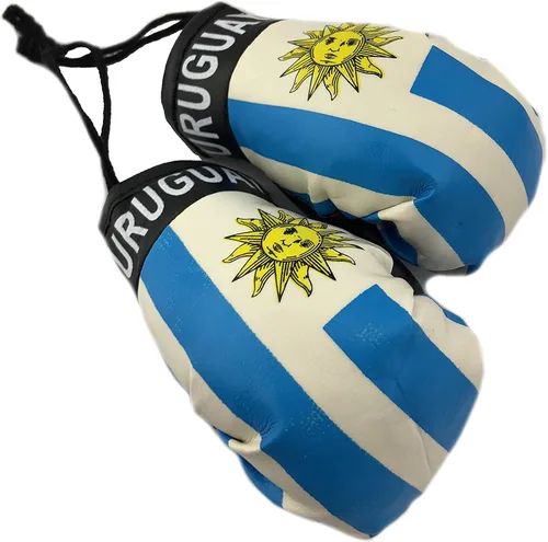 Vista 25 de Mini guantes de boxeo para colgar en el espejo del coche (Camerún)