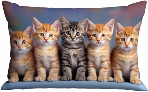 Vista 9 de Mugod Funda de almohada rectangular con purpurina dorada, cita motivacional, Hello Beautiful, funda de cojín decorativa para sofá de 20 x 30 pulgadas