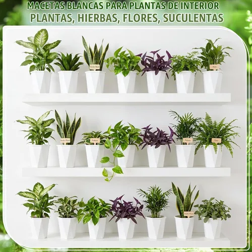 Vista 6 de 24 macetas de riego automático de 4 pulgadas para plantas de Macetas de agua de plástico blanco, maceta pequeña a granel con copa interior, mecha