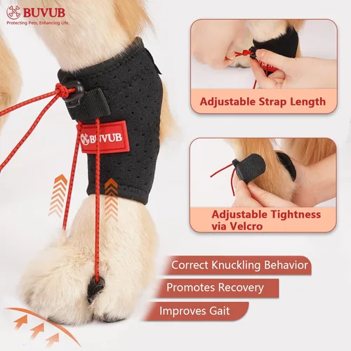 Vista 2 de Soporte para nudillos caninos para perro, pierna trasera, para pies de perro, para arrastrar los dedos de los pies, causa por insuficiencia