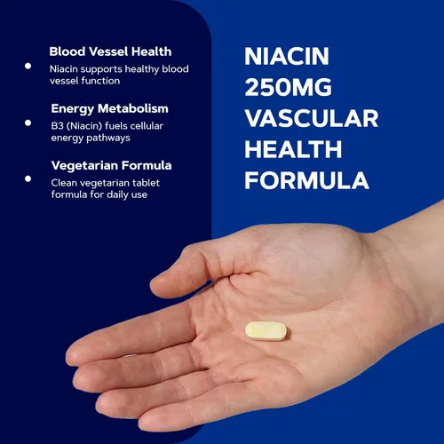 Vista 9 de GNC Niacina 250 mg, apoya la salud de los vasos sanguíneos, 100 tabletas vegetarianas