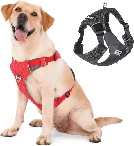Vista 9 de LIOPARD Arnés para perro, arnés para mascotas fácil de caminar sin tirones, con 2 clips para correa, chaleco reflectante suave acolchado ajustable