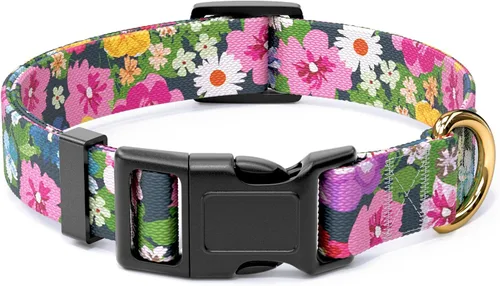 Vista 28 de Rnivvi Collar para perros pequeños, bonito collar resistente y ajustable para cachorros con hebilla de liberación rápida para machos, hembras