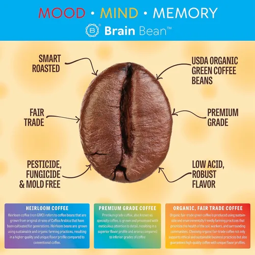 Vista 3 de Café orgánico Brain Bean – Sabor suave y tostado medio rico – Alto contenido de antioxidantes y certificado orgánico USDA para el apoyo cognitivo