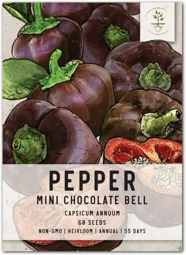 Vista 9 de Seed Needs - Semillas de pimiento arcoíris para plantar verduras, 1 paquete