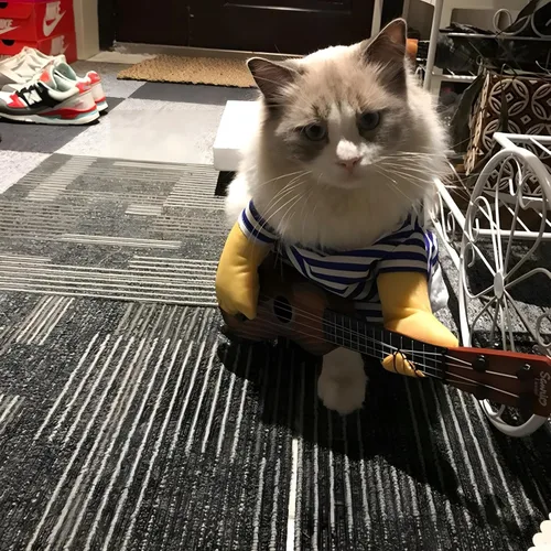 Vista 5 de NACOCO - Disfraz de guitarrista para mascotas, para Halloween, Navidad, cosplay, fiesta, ropa divertida para perros y gatos
