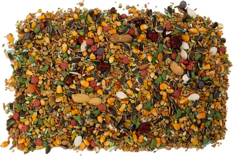 Vista 6 de Wild Harvest Advanced Nutrition - Loro de 4 libras, mezcla de semillas, granos y verduras