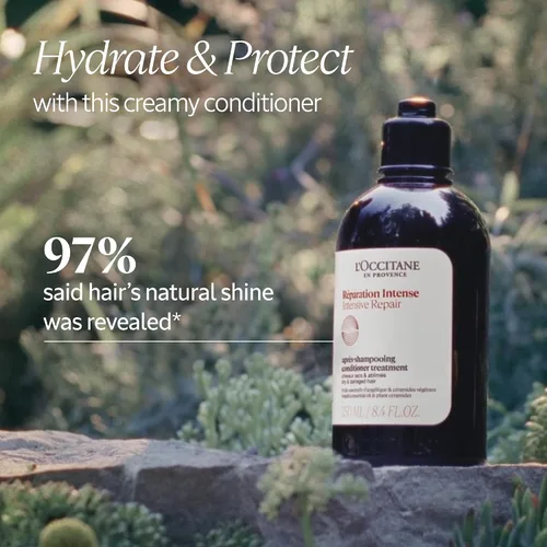 Vista 2 de L'OCCITANE Acondicionador de reparación intensivo: cabello más brillante y más fuerte, infundido con aceites esenciales 100% naturales, para cabello