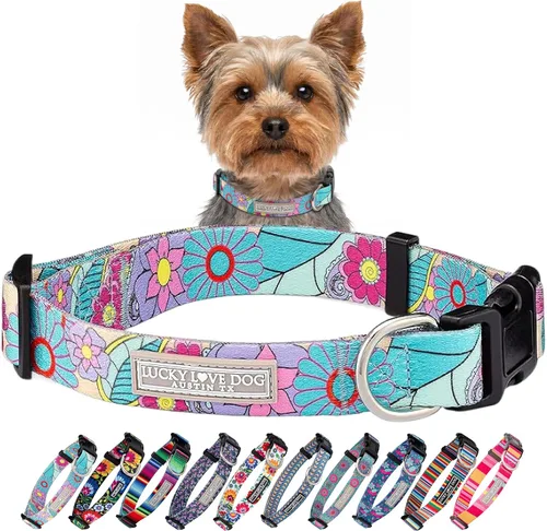 Vista 58 de Lucky Love Dog - Collar para perras pequeñas, diseño Blackbird de estampado alegre con flores de primavera y verano, talla XS Collar Blackbird