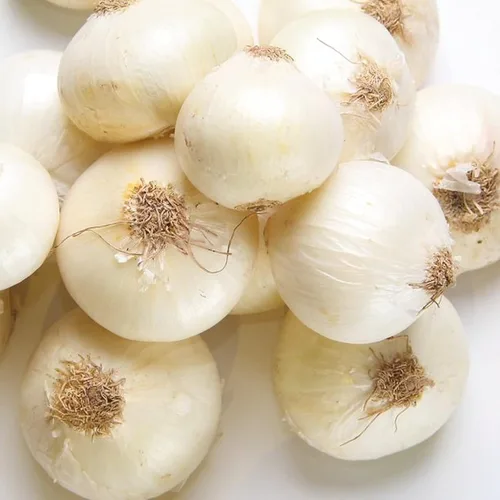 Vista 2 de 100 bulbos de cebolla blanca para plantar, juegos de cebolla semillas frescas para cultivar